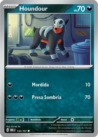 Houndour (132/197)