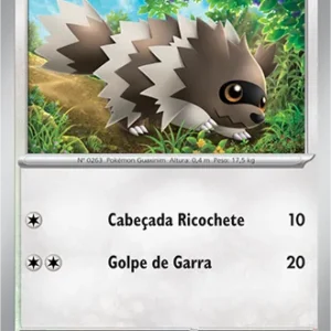 Zigzagoon (167/197)